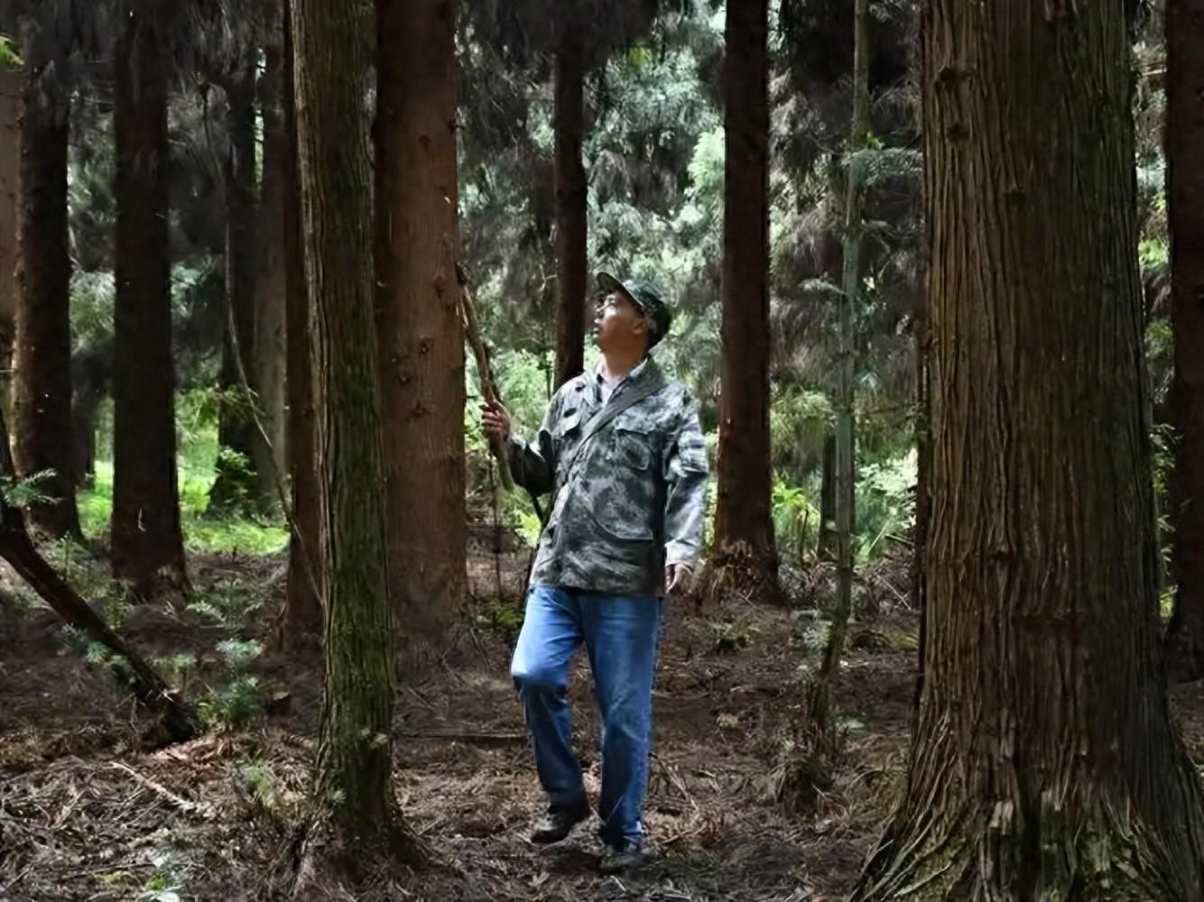 开云体育-监守自盗！2021年，江苏一护林员2年多猎杀8只，清洗尸体时暴露